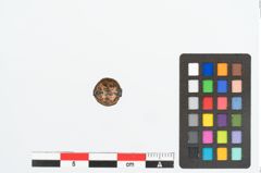 Foto von Bronzezwingenniet (NHMW-PRAE-026299)
